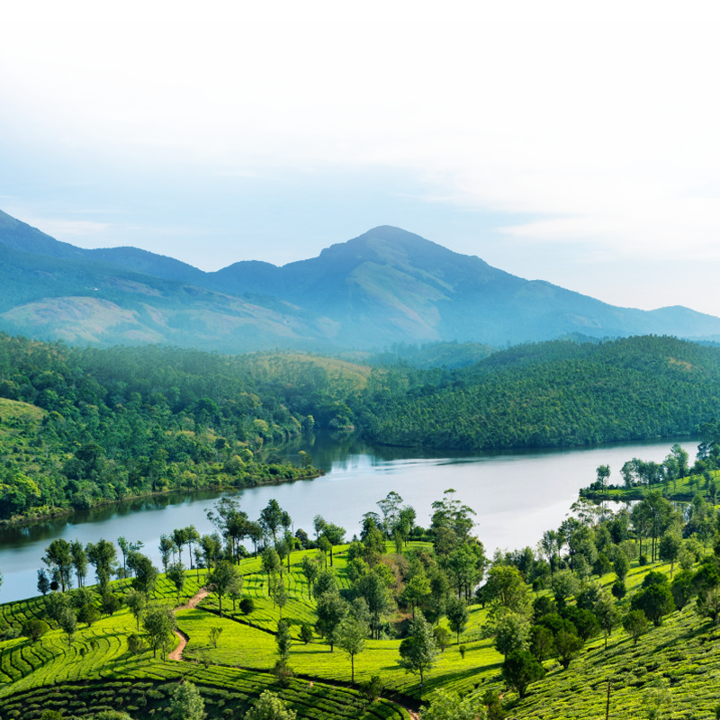 spices garden idukki